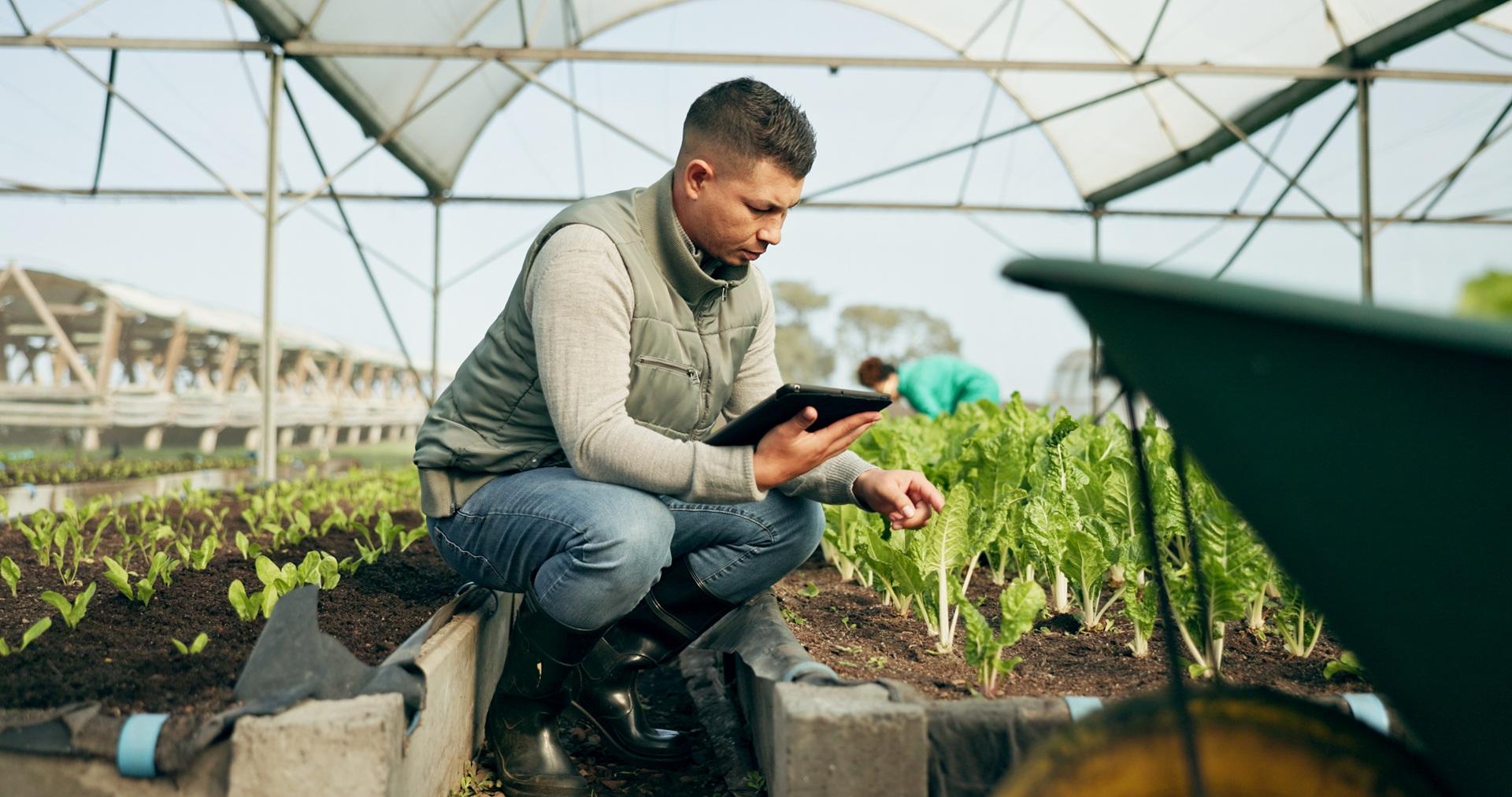 Landwirt prüft Pflanzen mit Tablet | Schnellwechselrahmen